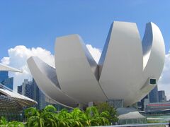 これもシンガポールを代表する景観の一つですね、花の形をした面白い形の建造物は「アート・サイエンス・ミュージアム」。今回、入場する予定はありません、外から観るだけ(笑)