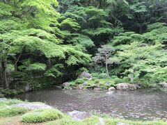 南禅院です。庭だけの拝観。
青紅葉が美しい見事なお庭。ここにも琵琶湖疏水が流れています。