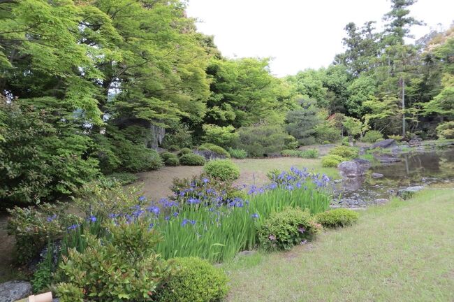 京都2022春 アート旅後半は南禅寺界隈のお庭さん巡り』東山