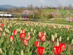 国営越後丘陵公園