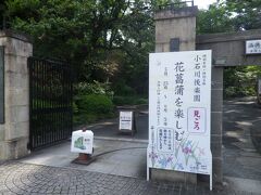 小石川後楽園の西門前に着いたのは8時半前。
門の前に出されている看板が「見ごろ」と伝えている。