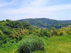 台峰緑地