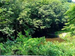 谷戸の池
