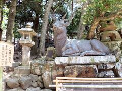 春日大社　「伏鹿手水所」