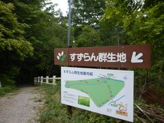 広い駐車場に到着。
ここからシャトルバスで新道峠に上がれるみたいです。
富士山も見れそうにない曇り空なので今回は考えませんでしたが
黒岳とか山歩き目的でまた来たいな。