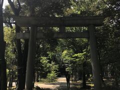 赤坂氷川神社。
東京十社の一つ。