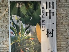 田中一村記念美術館へ
皆さんの旅行記を読んでいて日本のゴーギャンと言われる田中一村に興味が湧きました。このタペストリーの絵は「不喰芋と蘇鉄」というタイトル。他の絵も見てみたいと思ったのです。