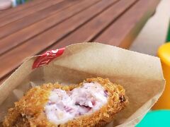 cafe 金次郎の「イカメンチ」初めて食べましたが、めっちゃ美味しいです！この２日間、天気はあんまり良くなかったけど美味しい物を食べて大満足のお宿に泊まって良い小旅行になりました。