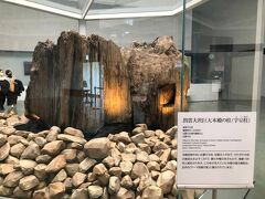 島根県立古代出雲歴史博物館