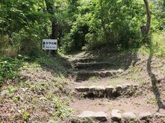 島内は至る所に看板が。
ジャングルのような島なので迷子にならないで安心でした。