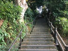 公園の駅に近いエリアはフランス山地区と呼ばれています。
上り階段を登って、公園の奥へ向かいました。
