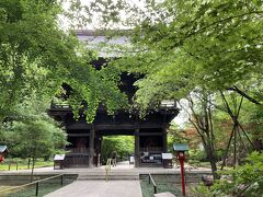 【九品仏浄真寺】
　個人的に荻窪の大田黒公園と並んで東京の紅葉の名所と考えている所です。青もみじの今は空いています。