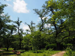 【神代植物公園】
　深大寺の隣にある神代植物公園ものんびり過ごせる場所です。