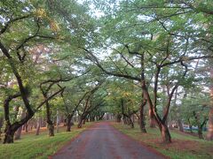 芦野公園