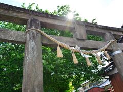 前玉神社

さてさて、今日の目的の一つ「行田市花手水week」
行田市では毎月1日から14日まで今や流行りとなった花手水が楽しめるのです。

まずやって来たのは前玉神社。