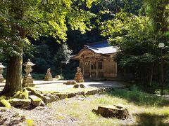 登山口の手前に神社がありました。日が射し込んで幻想的な雰囲気でした。