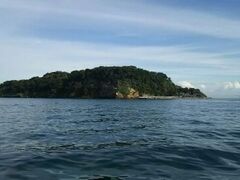 猿島に行けます。