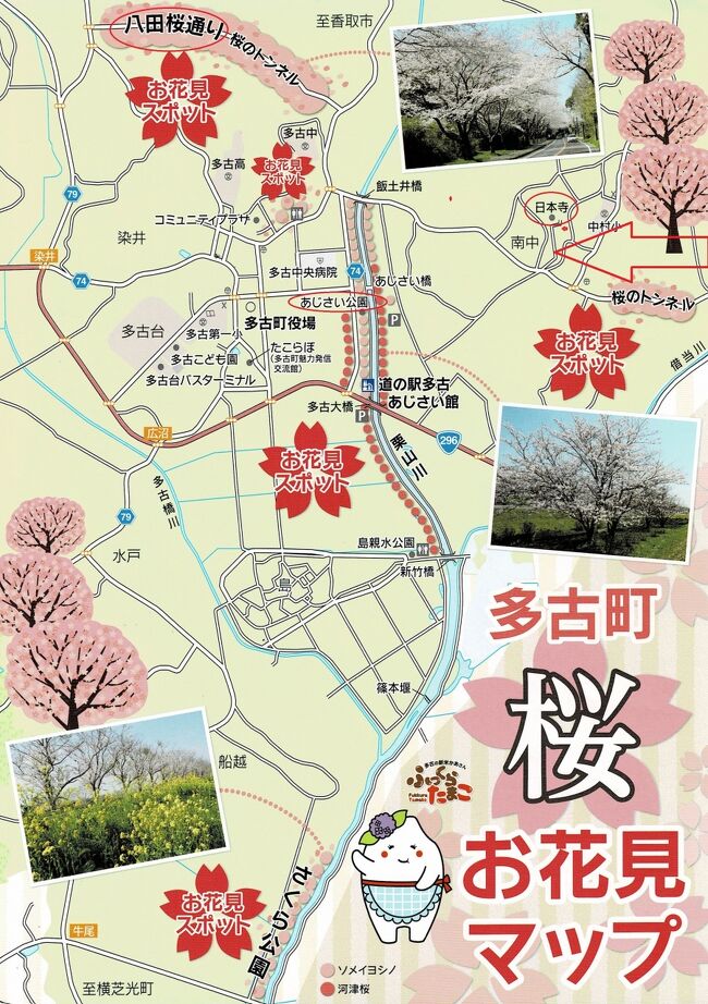 廣井智江静物【あじさい】