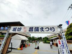 梅雨入りした東京、曇天でも上等、
早起きして、ウキウキ堀切菖蒲園へ。
菖蒲まつり開催中！駅歩10分程。