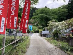 つつじを見に来た。