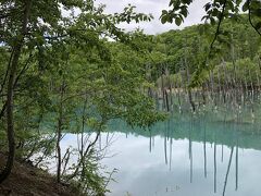 それはそうと観光観光。

美瑛の人気スポット青い池に初めて来てみた。

う・・・うん、青い・・・よね？
曇ってるとこんなもんなのかなあ。