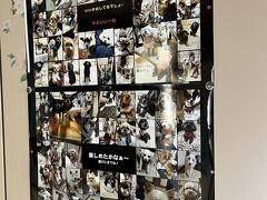 ニュー扇屋さんは、愛犬同伴で宿泊できるお宿です。

大型犬もOKらしく、廊下に張り出されたポスターに色々な種類のワンちゃんの写真が掲載されていました。

ニュー扇屋さんも看板犬を飼われていたそうですが、最近亡くなってしまったそうです。