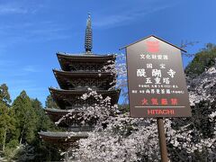 １日目。

東京から新幹線で京都へ。

お昼ご飯をいただき、観光スタート。

まずは、桜の名所として有名な醍醐寺。
京都駅からは少し遠いですが、訪れてよかったです。
五重塔と桜が美しかったです。