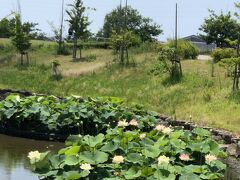 油ヶ淵水辺公園