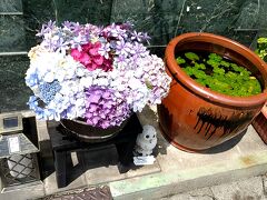 吉原商店街へと向かう途中、小料理屋さんの軒先にも、花手水がありました。。