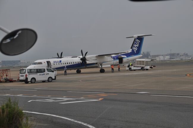 　こちらの機体です。