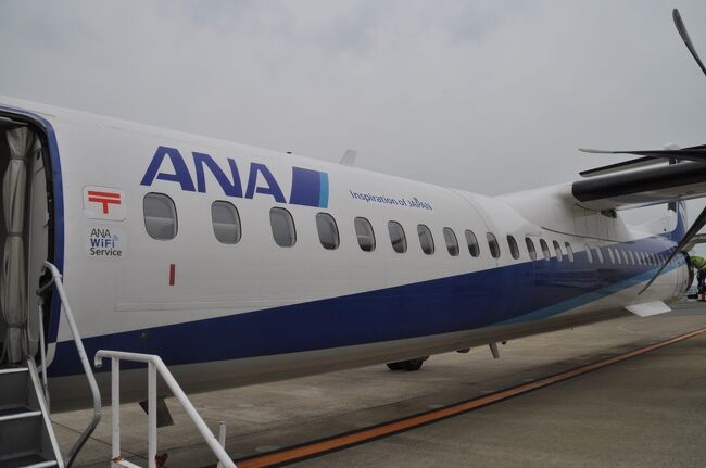 　ANAの機体ですが、運航はオリエンタルエアブリッジとなっています。