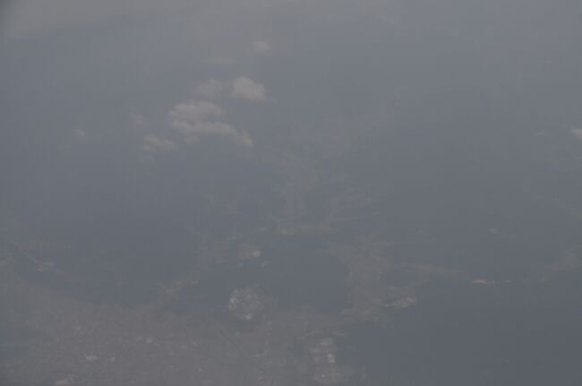 　でも、どの写真もぼやっとしか写っていませんでした。