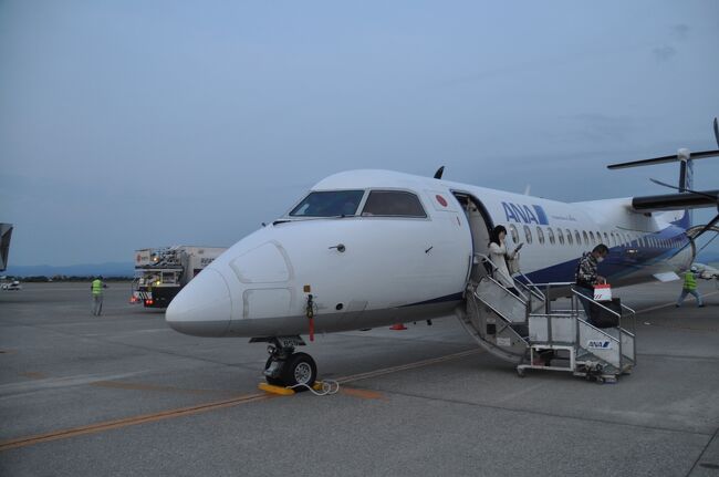 　今乗ってきた飛行機です。<br />　折り返し福岡行きとなります。