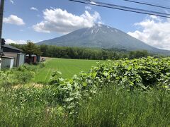 積丹半島をぐるりと回って、羊蹄山の麓を通ります。羊蹄山がキレイに見えました。
天気が良くって絶好のドライブ日和(^｡^)