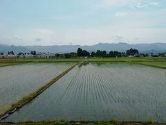 山形新幹線沿線の風景。青空と田植えが終わったばかりの田んぼ。