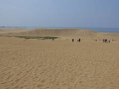 目の前に広がる鳥取砂丘
此処から先は砂ばっかりの写真が続きますw