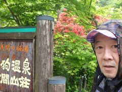 10:09　山の車道を歩く事４Km・約50分、天狗温泉・浅間山荘に到着。ここもレンゲツツジ満開。