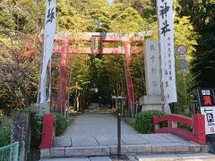 さらに1時間ほど走り、熱海にある《来宮神社》に来ました。

妻「くるみや？」

「きのみや」と読みます。