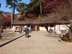 来宮神社から車で5分、日本で最も早咲きな梅で有名な《熱海梅園》に到着。

ただいくら早いと言っても、さすがに梅はまだ咲いていません。