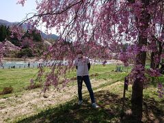 関越おりて
道の駅によりました

なんと桜満開
桜はノーマークだったので
なんか嬉しい！