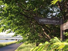 江戸川サイクリングロードで妙典駅へ。