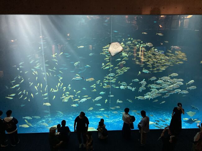 7・9歳児連れ、四国水族館と丸亀週末旅行』丸亀・宇多津・多度津