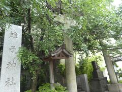 桜田通りにある雉子神社
3代将軍徳川家光が鷹狩りをしていたとき、1羽の白いキジがこの神社に逃げ込んで見えなくなったことからこの名がついたそう。