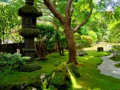 最後は私の大好きな報国寺にちょっとだけ寄り道
苔むした庭
苔好きな私にはたまらない光景です