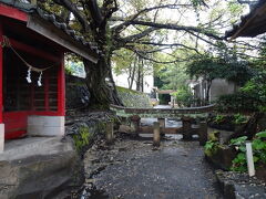 大正3年（1914年）1月12日の桜島の大爆発により、高さ3メートルもあった腹五社神社（黒神神社）の鳥居がここまで埋まってしまったとのこと。
