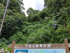 下田公園到着～
伊豆高原から下田は結構遠かった&#128166;

たまたま駐車場が空いていてスムーズに駐車できだけど、運がよかっただけで10台待ちになる事あるらしい…
行くときは余裕を持って行ったほうがよさそうです。