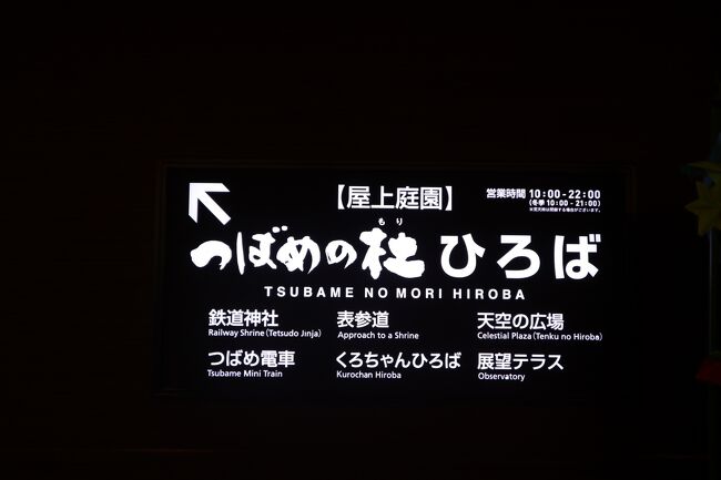 Jgc修行のラストは1泊2日で久米島へのはずが最後に待っていた波乱 那覇 沖縄県 の旅行記 ブログ By マダムkさん フォートラベル