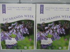 ジャカランダ、ノウゼンカズラ系の薄紫のお花です。
先週末と今週末がお祭りみたいですから、丁度良い時期に来たのかなぁ…と少し期待。。