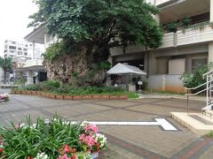 中島の大石．沖縄県の指定天然記念物だそうです．パワーストーン．