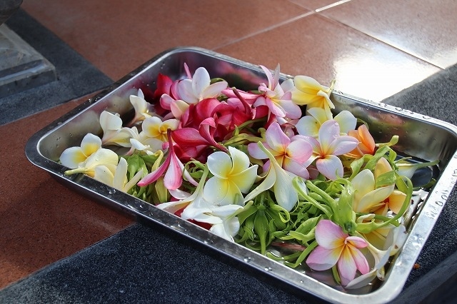お祈りに使われるプルメリアとイランイランの花です。